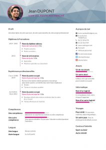 Modèle d'un CV combiné réalisé sur CVDesignR