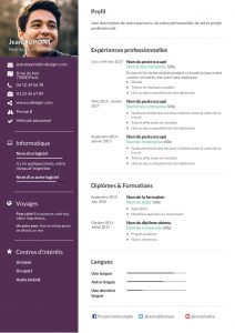 Modèle d'un CV chronologique réalisé sur CVDesignR